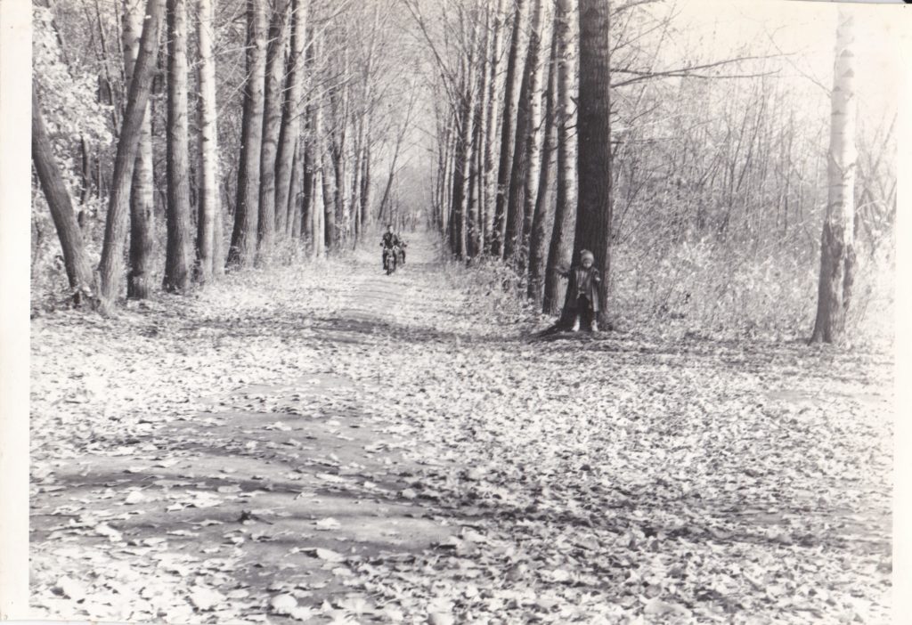 Старобельск. Роща. 21.10.79 г.